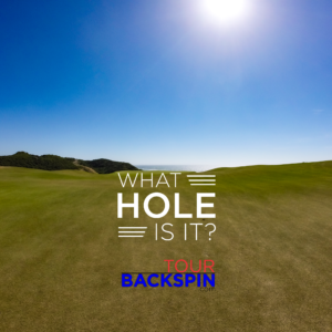 What Hole Is It? Wall Calendar