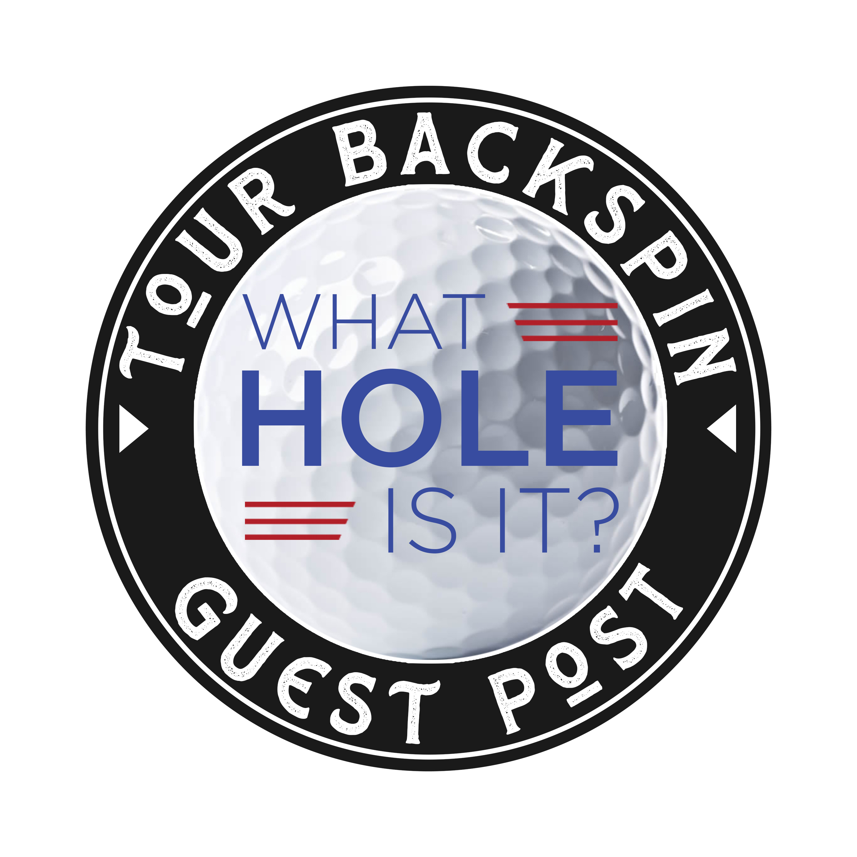 WHAT HOLE IS IT? Guest Post